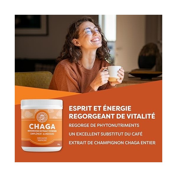 Vimergy Poudre de Chaga, Format Voyage, 166 Portions – Extrait de Champignon Chaga – Complément Vegan – Formulé sans Agents A