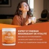 Vimergy Poudre de Chaga, Format Voyage, 166 Portions – Extrait de Champignon Chaga – Complément Vegan – Formulé sans Agents A