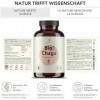 BIONUTRA® Gélules de Chaga bio hautement dosées, 1200 mg/jour, contrôlées résidus, fabrication allemande, véganes, sans lacto