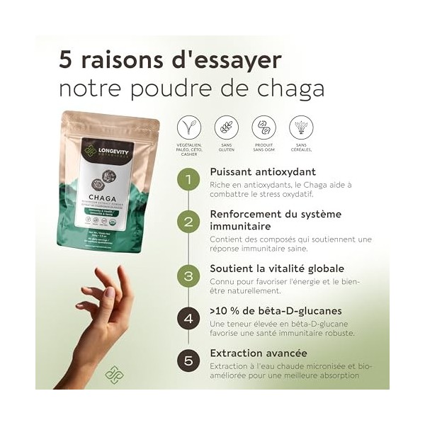 Poudre de Champignon Chaga Inonotus obliquus 100g | Extrait Puissant 10:1 de Corps Fructifère Pur | 10% Bêta-D Glucanes | É