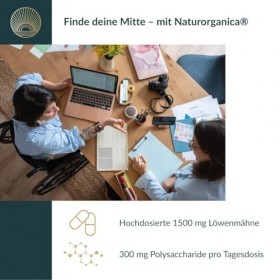 Naturorganica® Lion’s Mane Crinière de Lion 20:1 – 1500 mg Extrait Hericium Erinaceus – 100 mg Polysaccharides – Mémoire, F