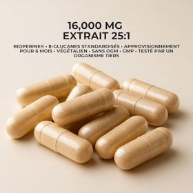 Lions Mane Bio – Gélules Criniere de Lion Haute Puissance 16,000mg – Extrait 25:1 Ultra-Concentré avec BioPerine® – Riche en 