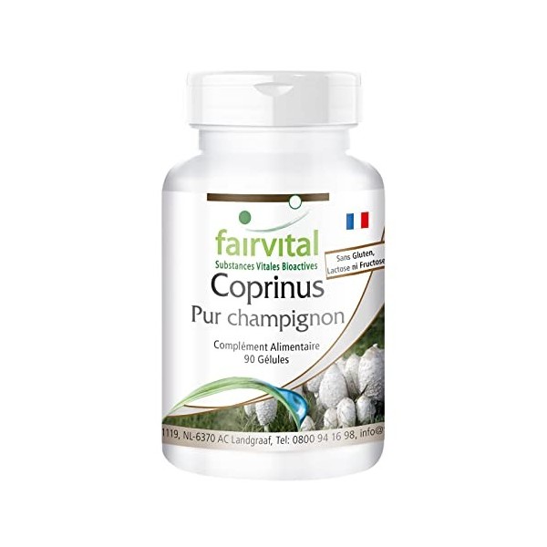 Fairvital | Coprinus 500mg VEGAN Fortement dosé - 90 capsules - poudre de champignon - comatus