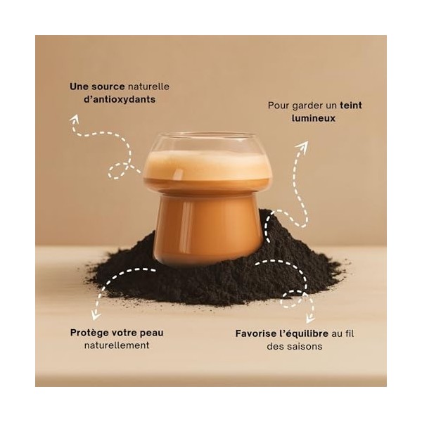 Chaga Inonotus obliquus en Poudre Extrait 15:1 – Immunité, Antioxydant, Vitalité - Standardisé en principes actifs – Vegan