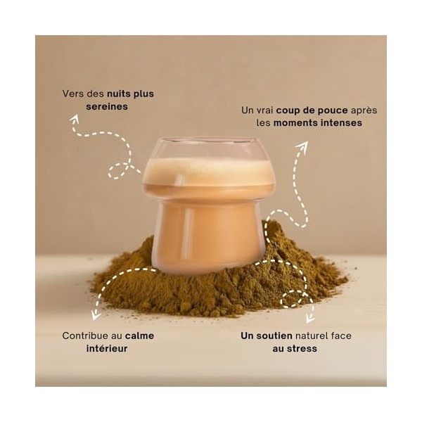 Reishi Ganoderma lucidum en Poudre Extrait 15:1 – Sommeil, Immunité, Stress – Standardisé en principes actifs – Vegan – 30 