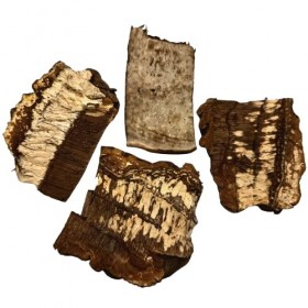 Ganoderma applanatum - Champignon de bois séché de Lettonie - 100 g