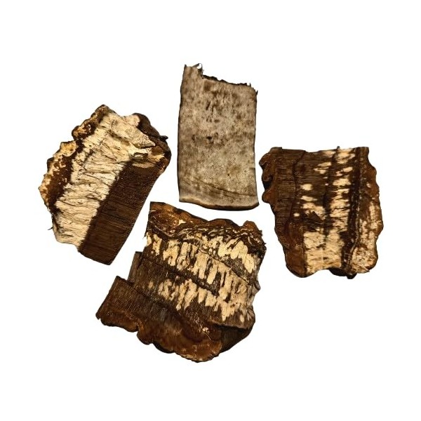 Ganoderma applanatum - Champignon de bois séché de Lettonie - 100 g