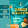 Fungi – Café nouvelle génération aux champignons adaptogènes Cordyceps, Chaga, Lion’s Mane – Énergie stable & goût intense