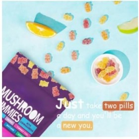 Organic - champignons - concentration et énergie