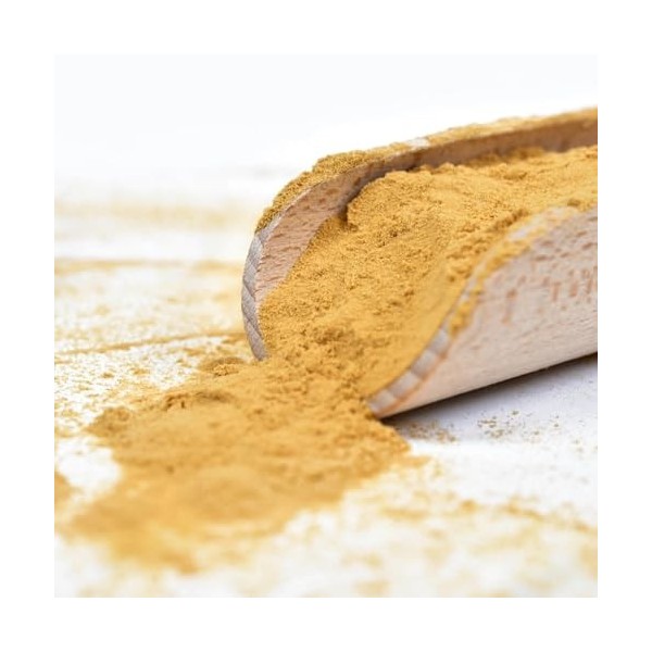 Vivarini Lion’s Mane 50g – poudre concentrée 10:1 pour enrichir naturellement votre routine bien‑être Champignons