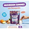 Gummies aux champignons – Stimule la concentration et le système immunitaire, améliore les performances cognitives, faible te