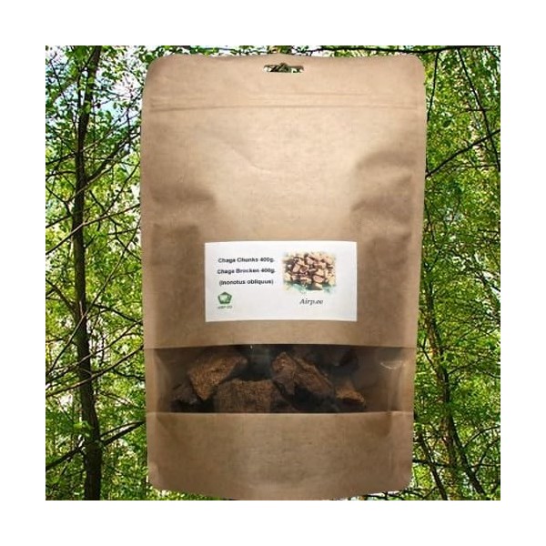 Champignon de bouleau séché Chaga - Morceaux de 400 g, haché naturellement jusquà 5 cm , collection sauvage dEurope du Nor