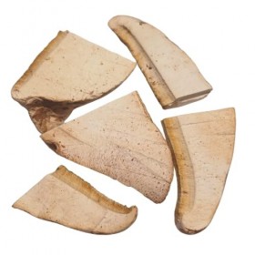 Porling de bouleau séché Fomitopsis betulina 100 g – Produit naturel, collection sauvage, idéal pour les thés et lentretie