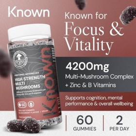 Gummies Multi-Champignons Haute Concentration – Avec Crinière de Lion, Reishi, Chaga, Maitake, Cordyceps, Tremella – Saveur C