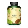 EXTRAIT de Reishi Vegavero® | 240 Gélules | 13 000 mg Extract 10:1 | 40% Polysaccharides + 20% Bêta-glucane | Immunité + Én C...