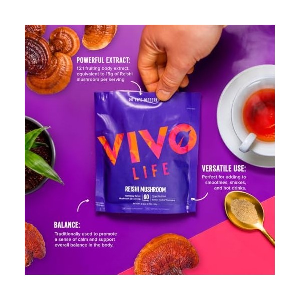 Reishi Mushroom Powder extrait 15:1 