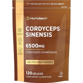 Cordyceps Sinesis 6500mg | Extrait 10:1 | Pour 4 Mois - 120 Poudre Gélules Véganes | 40% Polysaccharides | Horbaach