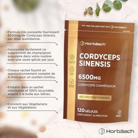 Cordyceps Sinesis 6500mg | Extrait 10:1 | Pour 4 Mois - 120 Poudre Gélules Véganes | 40% Polysaccharides | Horbaach