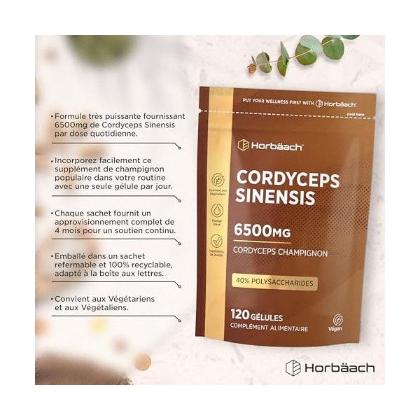 Cordyceps Sinesis 6500mg | Extrait 10:1 | Pour 4 Mois - 120 Poudre Gélules Véganes | 40% Polysaccharides | Horbaach