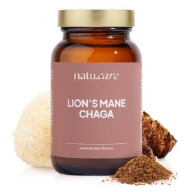 Lions Mane & Chaga - Extrait en poudre, 100% naturel, sans sucre et conservateurs, soutient les fonctions cérébrales, adapto
