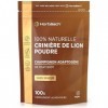 Lions Mane Poudre 100g | Lions Mane Mushroom | Criniere de Lion Champignon Bio | Complement Alimentaire Haute Résistance | pa