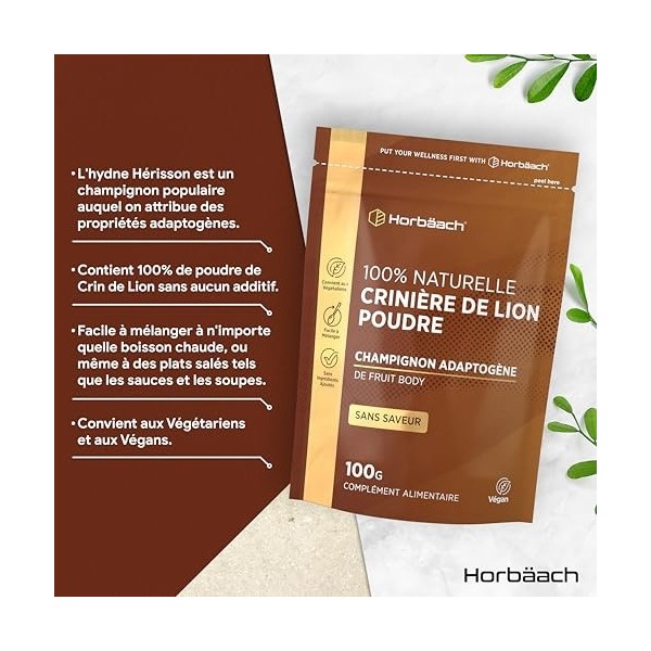 Lions Mane Poudre 100g | Lions Mane Mushroom | Criniere de Lion Champignon Bio | Complement Alimentaire Haute Résistance | pa