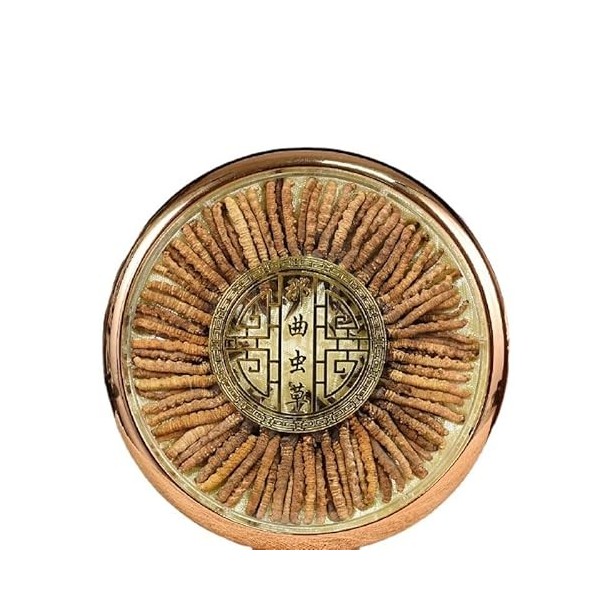 WonderLand Herbs Nagqu Dry Goods Lot de 100 boîtes cadeaux traditionnelles nourrissantes tibétaines haute altitude Cordyceps