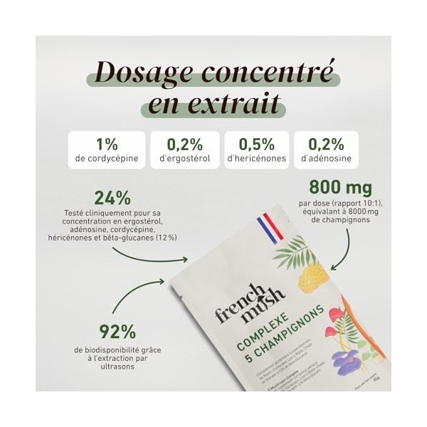 French Mush Complexe 5 Champignons Bio Poudre Grand Format - 90 g Vegan - Lion’s Mane, Reishi, Cordyceps, Shiitake, Chaga - 1