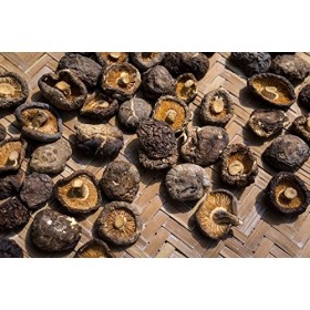 Champignons Shiitake parfumés séchés 4-6CM 500G - Champignons Tonkou - Longevity Lot de 3 sachets Champignons