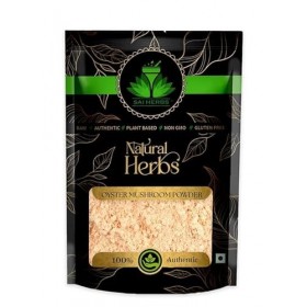 Poudre de champignon dhuître – Pure et naturelle 500 g 