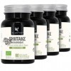 SHIITAKE BIO LENTINULA EDODES * PACK 3+1 GRATUIT * 250 mg / 240 gélules * Extrait titré à 30% en polysaccharides et 15% bêt