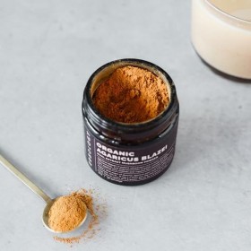 Poudre dextrait double dagaricus Blazei bio 30 portions