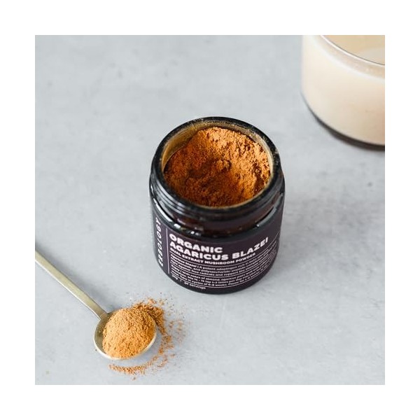 Poudre dextrait double dagaricus Blazei bio 30 portions