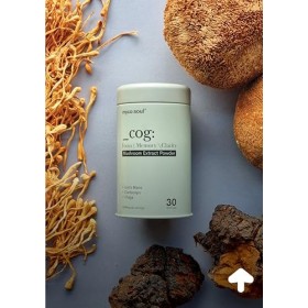 _cog : Brain Fuel | Extrait de champignon bio 3 | Synergique | Crinière de lion | Améliore la fonction cognitive, la mémoire,
