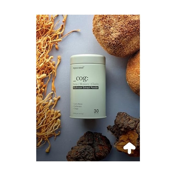 _cog : Brain Fuel | Extrait de champignon bio 3 | Synergique | Crinière de lion | Améliore la fonction cognitive, la mémoire,