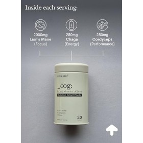 _cog : Brain Fuel | Extrait de champignon bio 3 | Synergique | Crinière de lion | Améliore la fonction cognitive, la mémoire,