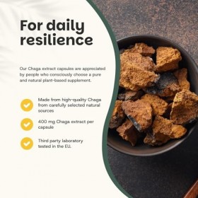 Cupplement - 4 sachets de capsules dextrait de chaga 60 pièces - Extrait 20:1 - Pilulier gratuit - Bio - 400 MG par capsule 