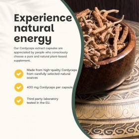 Cupplement 240 Gélules d’Extrait de Cordyceps 20:1 + 3 Offertes – Biologique – 400 MG par Gélule – Sans Poudre – Complément –