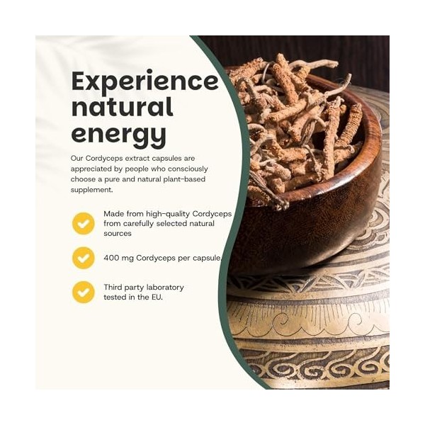 Cupplement 240 Gélules d’Extrait de Cordyceps 20:1 + 3 Offertes – Biologique – 400 MG par Gélule – Sans Poudre – Complément –