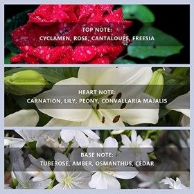 Eau de Parfum Vaporisateur pour Femme, Le parfum floral est frais et durable, Parfum Immuable et Riche en Énergie bouteille e