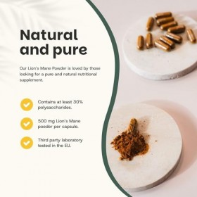 Cupplement - 4 sachets de capsules Lions Mane 60 pièces - Pilulier gratuit - Bio - 500 MG par capsule - Sans poudre - Supplém