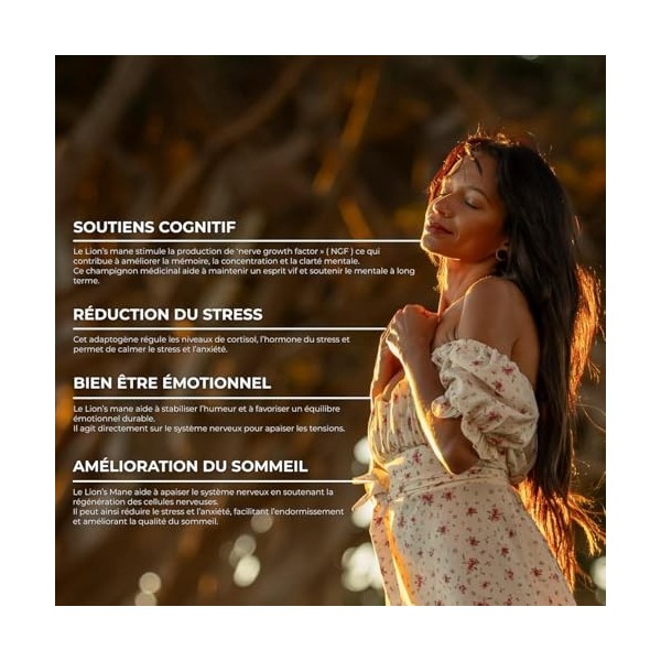 Lions Mane en gélules - 60 jours - 500mg