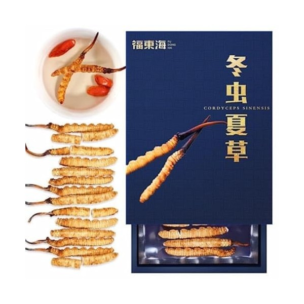 Tisane Chinoise De Qualité Supérieure Cordyceps Tien Séché 1g / Boîte Champignon Naturel Brut Cordyceps Sinensis Militaris