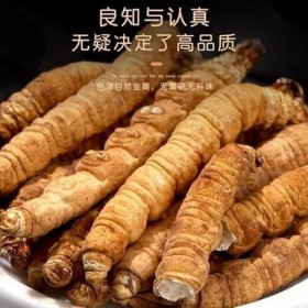 Tisane Chinoise De Qualité Supérieure Cordyceps Tien Séché 1g / Boîte Champignon Naturel Brut Cordyceps Sinensis Militaris