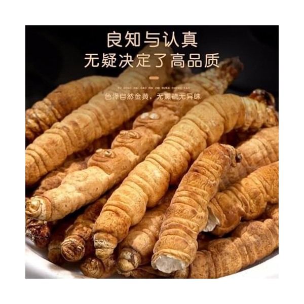 Tisane Chinoise De Qualité Supérieure Cordyceps Tien Séché 1g / Boîte Champignon Naturel Brut Cordyceps Sinensis Militaris