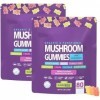 Générique Gummies Aux Champignons, KSM 66 Ashwagandha & Lions Mane Supplement Gummies, Force Et Soutien Cognitif pour Hommes ...