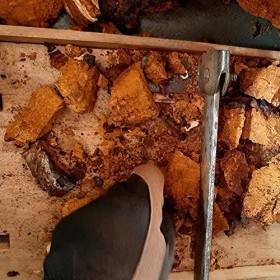 Chaga Chunks Chaga Chunks Sèche 450 g haché jusquà 5 cm dEstonie