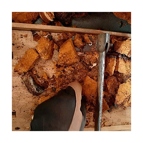 Chaga Chunks Chaga Chunks Sèche 450 g haché jusquà 5 cm dEstonie