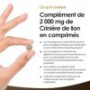 New Leaf Products 180 Comprimés de Champignon Crinière de Lion, Complément dExtrait de Crinière de Lion, Comprimés de Lions