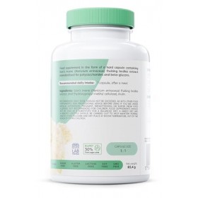 Osavi Lions Mane, 600mg - 120 vegan caps
